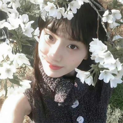 社会学家和小熊